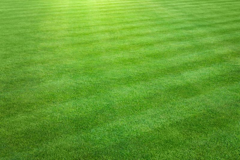 Commercial Lawn Care detail