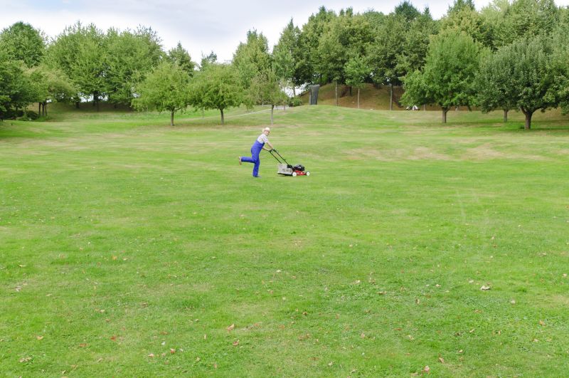 Lawn Mowing in Action 1