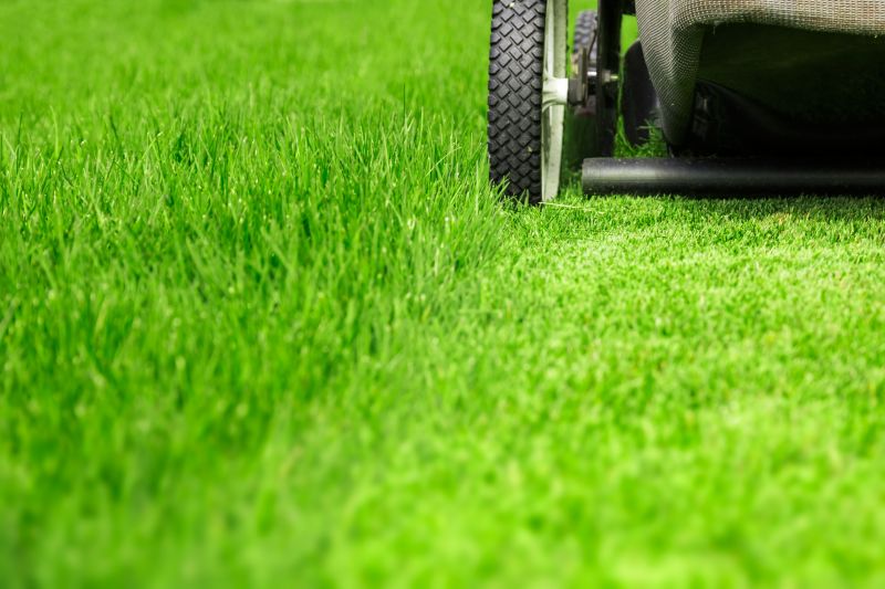 Close-up of Cut Grass