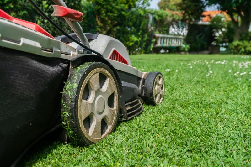 Summer Lawn Maintenance