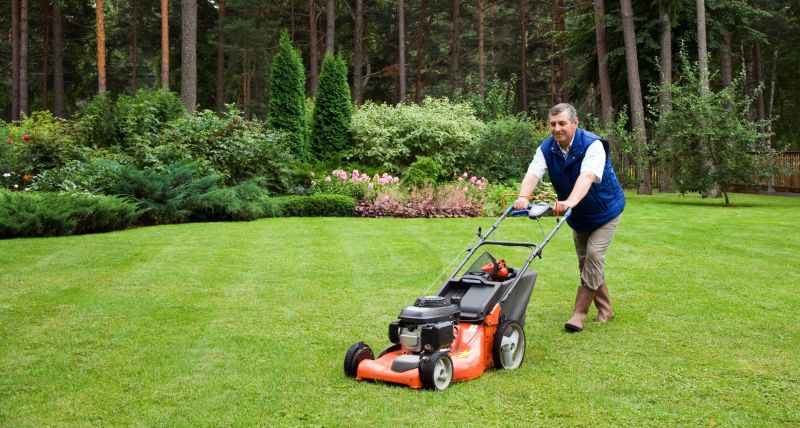Spring lawn services