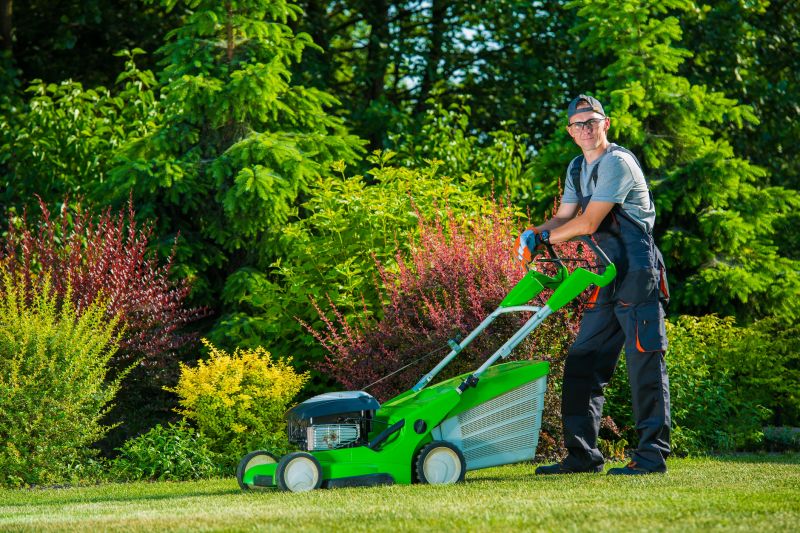 Customized lawn care plans