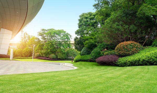 Commercial Lawn Care in Freehold