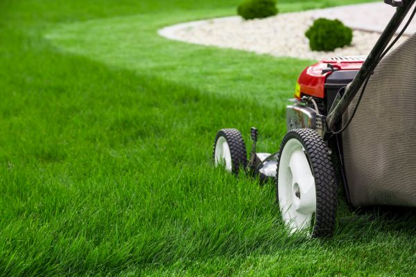 Lawn Cutting Service in Freehold