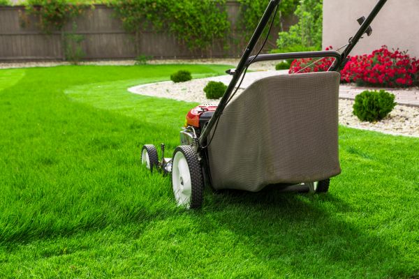 Lawn Mowing in Freehold