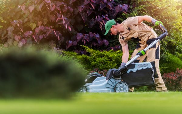 Yard Care Service in Freehold