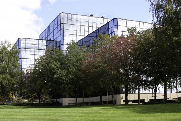 Commercial Lawn Service in Freehold