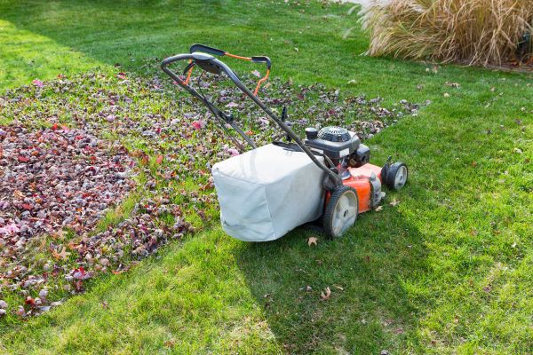 Seasonal Lawn Care in Freehold
