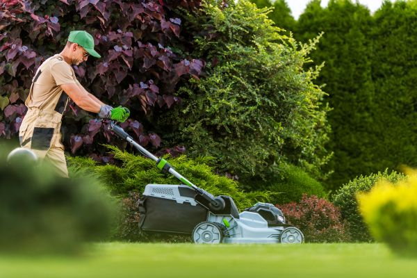 Lawn Management in Freehold