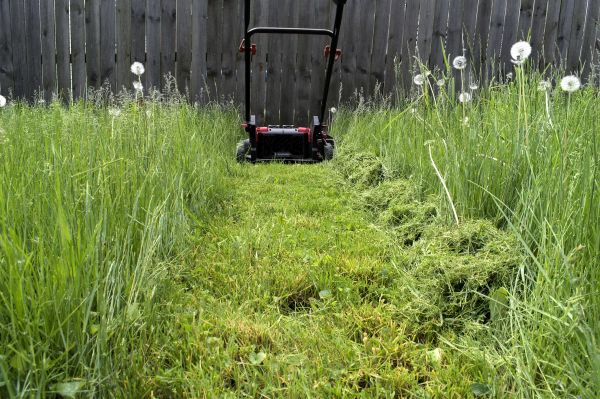 High Grass Mowing in Freehold