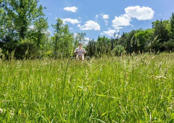 Long Grass Mowing in Freehold