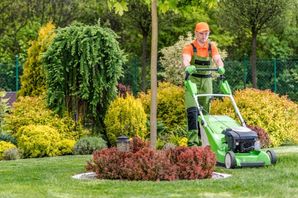 Commercial Yard Maintenance in Freehold