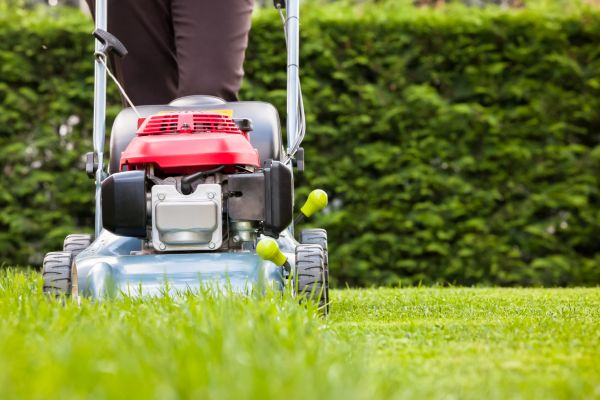 Grass Trimming Service in Freehold