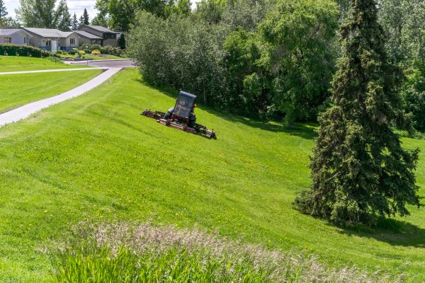 Hill Mowing in Freehold