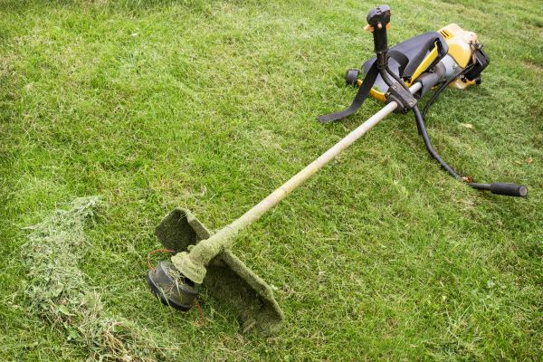 Cost of Hillside Weed Whacking in Freehold