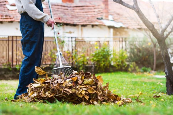 Cost of Routine Lawn Maintenance in Freehold