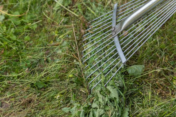 Thatch Raking in Freehold