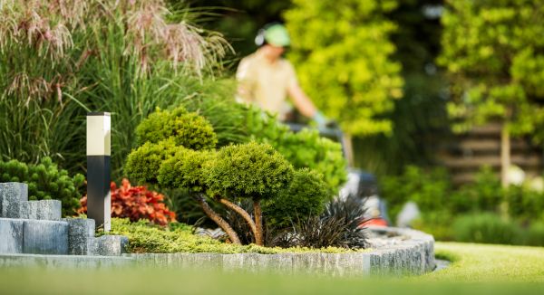 Residential Yard Maintenance in Freehold