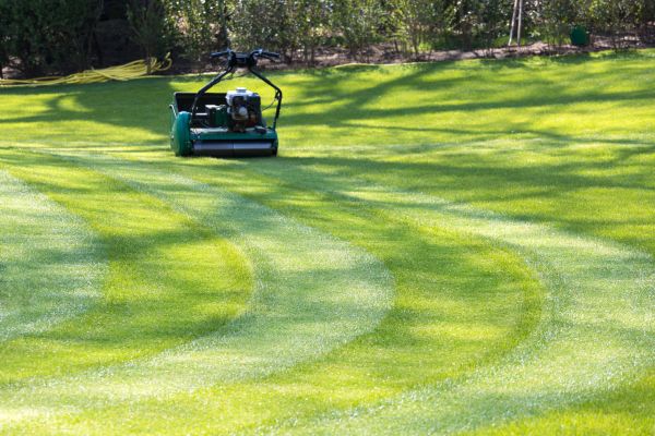 Business Lawn Mowing in Freehold