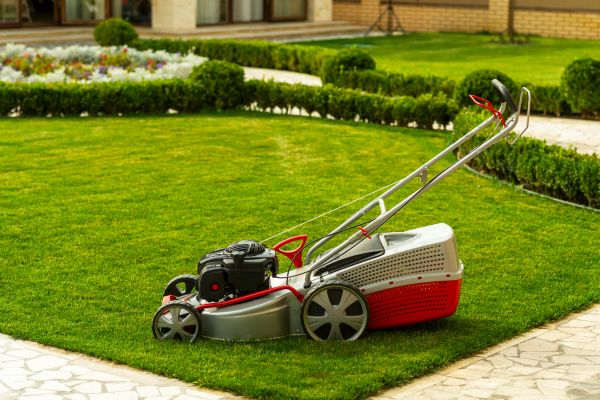 Business Grass Cutting in Freehold