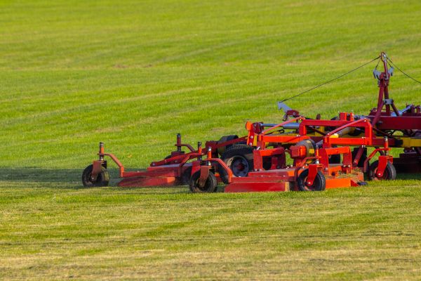Industrial Lawn Service in Freehold