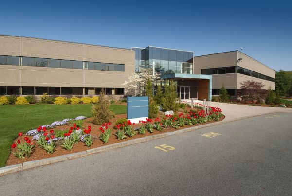 Commercial Groundskeeping in Freehold