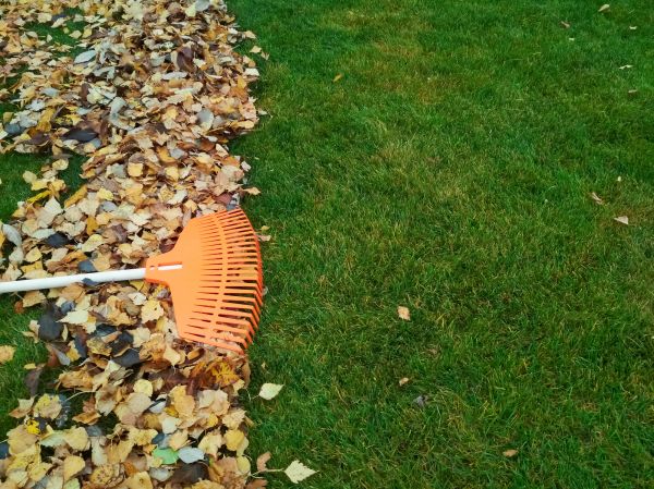 Fall Lawn Care in Freehold