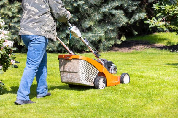 Springtime Lawn Care in Freehold