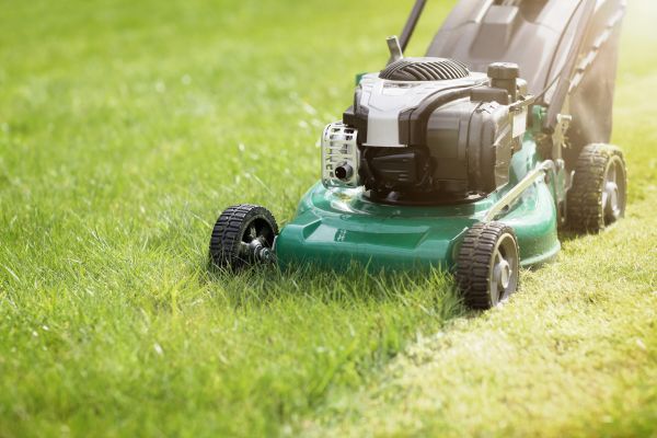 Cost of Spring Grass Trimming in Freehold