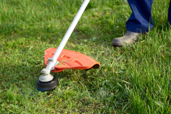 Cost of Lawn Weed Whacking in Freehold